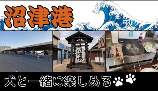 【静岡】浜焼き・軽食・デザートが食べられる！沼津港に行ってきた！