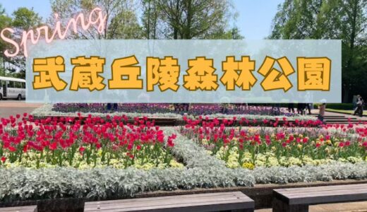 【埼玉】春の武蔵丘陵森林公園に行ってきた！