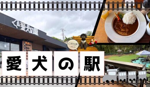 【静岡】「愛犬の駅」に行ってきた！