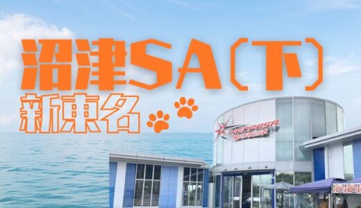 【静岡】NEOPASA駿河湾沼津SA(下)・ドッグランへ行ってきた！