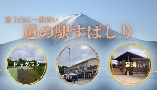 【静岡】道の駅すばしりに行ってきた！
